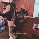 Jimmy Durmaz Instagram - Kim kimi gezdiriyor😊 @akitamiloo Visiting @vadistanbulveteriner #jimmydurmaz