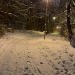 Jimmy Durmaz Instagram - A Walk in the winterland just one thing is missing here 🌹🤍 #snow #walk #winter #winterland #cristmas #christmas #wunderland