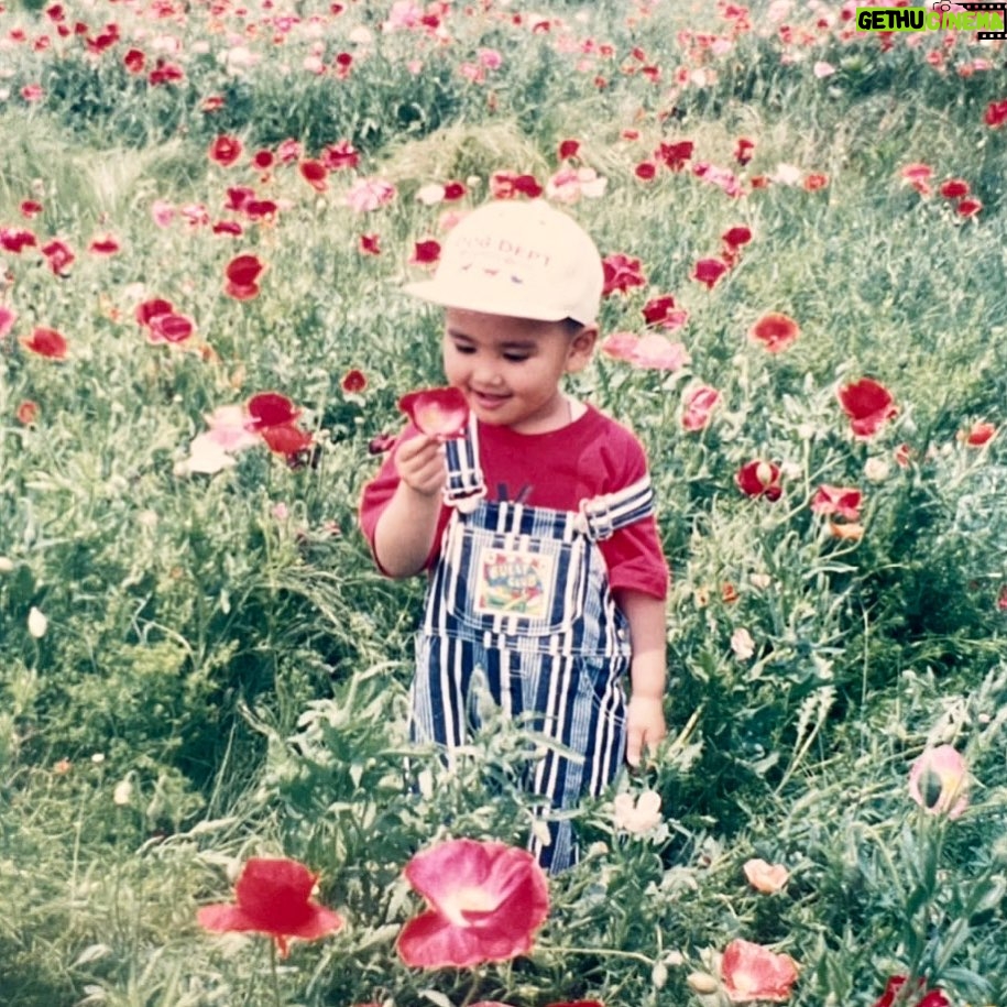 JinJin Instagram - お母さんの話によると僕が小さい頃、一方的にずっとお花に話しかけてたらしい。あと料理の上に乗ってるカツオブシにも話しかけてたらしい。ずっと動いてるから本当に生きてると思ってた