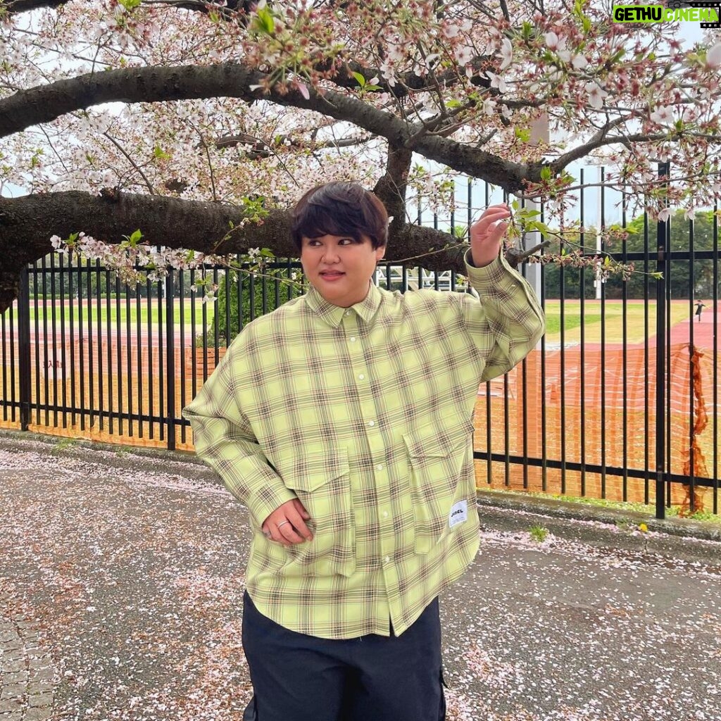 JinJin Instagram - 一瞬だけ桜を美味しそう、食べたいって思ってしまいました。不謹慎ですみません。