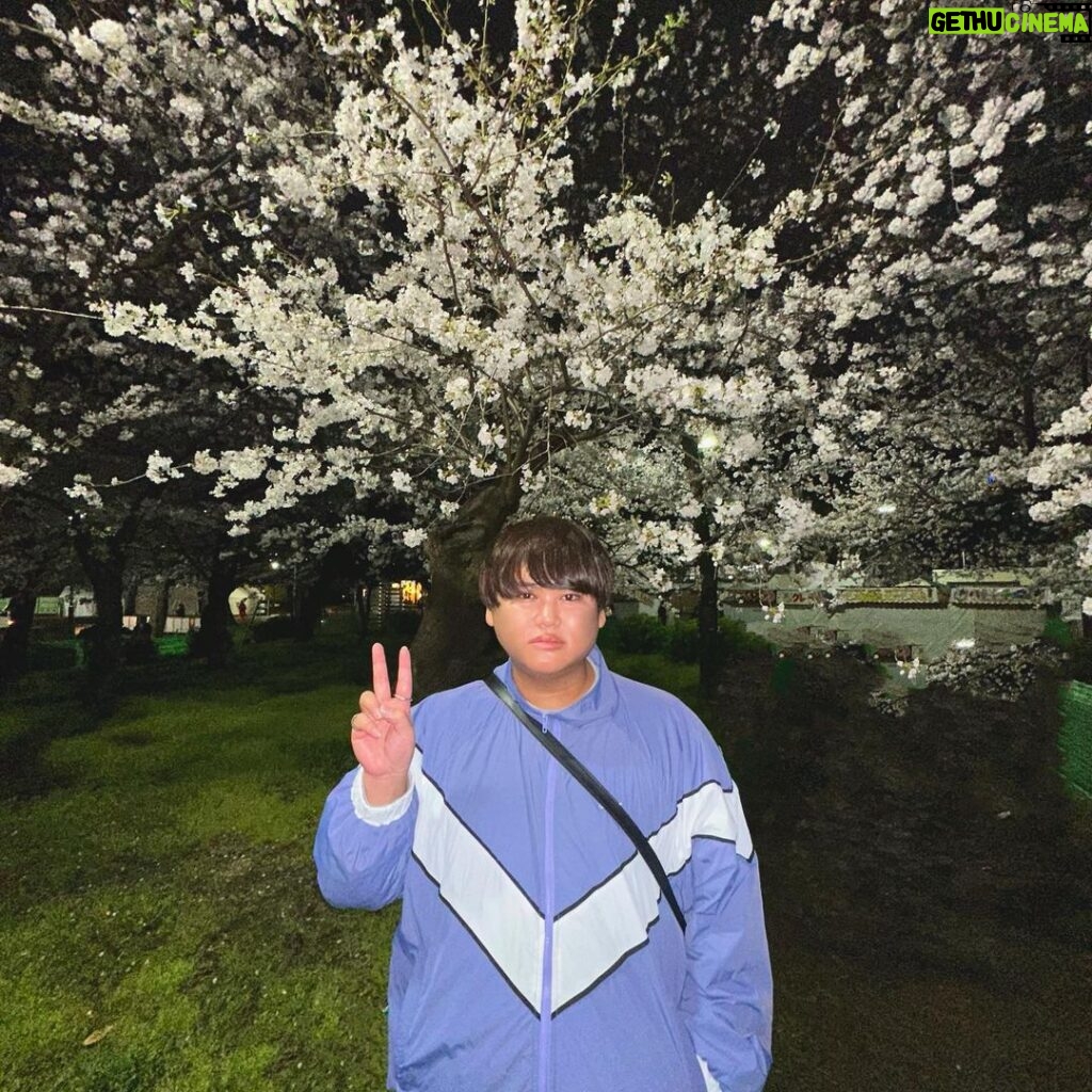 JinJin Instagram - 夜桜ほんまに綺麗すぎた最高^_^ はっぴーはっぴー^_^