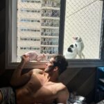 João Guilherme Ávila Instagram - De quebrinha tomando uma Vitamina D 🐱