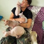 João Guilherme Ávila Instagram - 2 jeitos de se resguardar das negatividades da vida: Música e gatos. 🚫🧢😽 São Paulo, Brazil