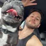 João Pedro Bernardes Instagram - Parabéns a um dos maiores amores da minha vida, a Noosa, que faz hoje 9 aninhos! 🤍🥰