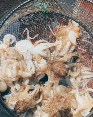 Jo Yoo-jin Instagram - :)

요즘 바다낚시에 
푹 빠져 있는거 아는 분들은 아시쥬 🎣 

방대한 사진들을 어떻게 올릴까 고민하다
밀리고만 있어서 모음집 올려봅니다 😉 

#다이와코리아 #낚도녀 유튜브 매주 목요일 6시 업로드 ! 

다들 보고 캡쳐만 보내지 말구 
댓글로 많은 관심 보여줘여 ❛˓◞˂̵✧ ♥️ 

요즘 가족보다 더 자주 만나는 
#다이와 #스튜디오플렉토 #낚도녀 
고맙고 스릉흡니데이 ♥️