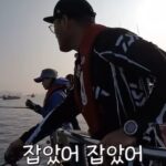 Jo Yoo-jin Instagram - :) 요즘 바다낚시에 푹 빠져 있는거 아는 분들은 아시쥬 🎣 방대한 사진들을 어떻게 올릴까 고민하다 밀리고만 있어서 모음집 올려봅니다 😉 #다이와코리아 #낚도녀 유튜브 매주 목요일 6시 업로드 ! 다들 보고 캡쳐만 보내지 말구 댓글로 많은 관심 보여줘여 ❛˓◞˂̵✧ ♥️ 요즘 가족보다 더 자주 만나는 #다이와 #스튜디오플렉토 #낚도녀 고맙고 스릉흡니데이 ♥️