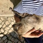 Joana Pais de Brito Instagram - Os passeios podem ser curtos, mas a magia pode encontrar-se em qualquer esquina ou, neste caso, degrau.☺️