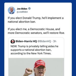 Joe Biden Instagram - If you elect Donald Trump, he’ll implement a national abortion ban.