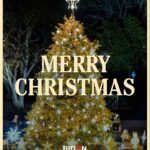 Joe Biden Instagram - From our family to yours, we wish you a very merry Christmas.