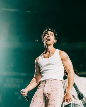 Joe Jonas Instagram - You May Be Right… 🎶