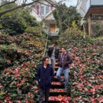 Joe Jonas Instagram - This weather is un-be-leafable. 🍁