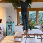 Joe Sugg Instagram - The halls have well and truly been decked today.. we have lots of conifers in the garden so I’ve “borrowed” some cuttings to make it feel a bit more festive. Hope you like it @santaclaus.. any chance of a new bike for Christmas? From Joseph age 31