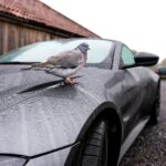 Joe Sugg Instagram – ‘Catch the pigeon’ is a lot easier when you’re in an @astonmartinlagonda. As a friend of the brand, I was very lucky to be loaned this beautiful vantage over the Christmas break so I could drive back to catch up with friends and family.❤️ #astonmartin #vantage #intensitydriven