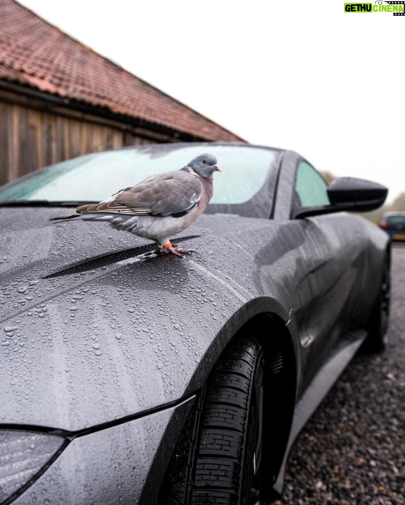 Joe Sugg Instagram - ‘Catch the pigeon’ is a lot easier when you’re in an @astonmartinlagonda. As a friend of the brand, I was very lucky to be loaned this beautiful vantage over the Christmas break so I could drive back to catch up with friends and family.❤️ #astonmartin #vantage #intensitydriven