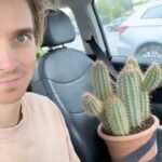 Joe Sugg Instagram - In my defence, it was in the reduced section and it looked like it was waving at me. It needs a name too please leave your suggestions below 🌵#houseplants #cactus