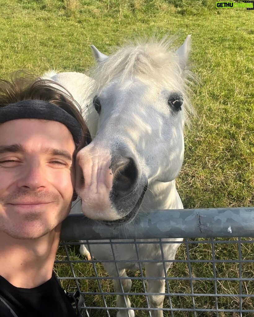 Joe Sugg Instagram - I don’t know who was more happy to see who. Both a couple of posers though.. #horse