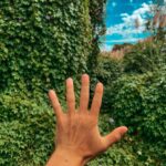 Joe Sugg Instagram – ❤️🌱 Perth, Western Australia