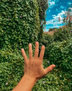 Joe Sugg Instagram - ❤️🌱 Perth, Western Australia