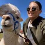 Joey Fisher Instagram - Just your standard Sunday walking alpacas 🦙 Alpaca My Boots