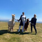 Joey Fisher Instagram - Just your standard Sunday walking alpacas 🦙 Alpaca My Boots