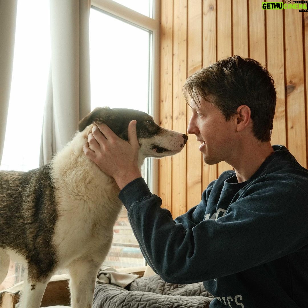 Joey King Instagram - Everyone, meet Fable. She is the newest member of our family🥹 We rescued Fable from the incredible people at @dogroseromania . I’ve never seen a shelter treat it’s animals with such love and empathy. You don’t have to be in România to adopt from them either, they do overseas adoptions all the time and are very used to it. Please consider donating or adopting if you are able. ❤️ We feel so lucky to give Fable a new start. Her and so many others deserve it.