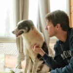 Joey King Instagram - Everyone, meet Fable. She is the newest member of our family🥹 We rescued Fable from the incredible people at @dogroseromania . I’ve never seen a shelter treat it’s animals with such love and empathy. You don’t have to be in România to adopt from them either, they do overseas adoptions all the time and are very used to it. Please consider donating or adopting if you are able. ❤️ We feel so lucky to give Fable a new start. Her and so many others deserve it.