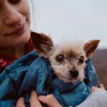 Joey King Instagram - Apparently it’s #NationalDogDay any excuse to share some pics of these two lights of my life (Angel is going to be 15 this year 🥺🎉)