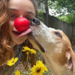 Joey King Instagram – I’m joining @rednosedayusa and their mission to end child poverty. Any size donation will help build healthy futures for all children. Grab your red nose and donate at RedNoseDay.org #RedNoseDay #NosesOn