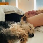 Joey King Instagram – Missing my sweet Angel on this lazy Sunday
