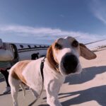 Joey King Instagram – Wait…if Jesses next to me, WHOS FLYING THIS THING?!