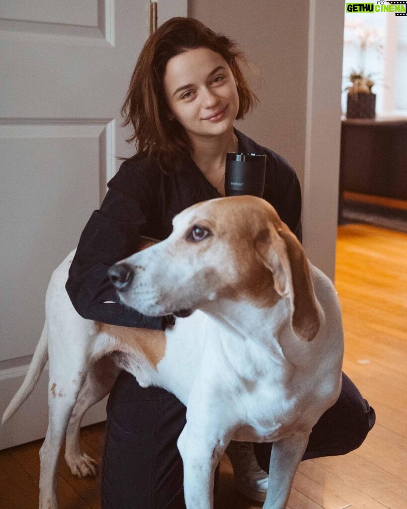 Joey King Instagram - Apparently it’s #NationalDogDay any excuse to share some pics of these two lights of my life (Angel is going to be 15 this year 🥺🎉)