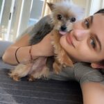 Joey King Instagram - Blechhh 😖the world is weird but I’m still convinced 2021 is gonna rock (no I’m not but I’m gonna try to be) here’s some Angel content to brighten your feed. Look how cute her little face is