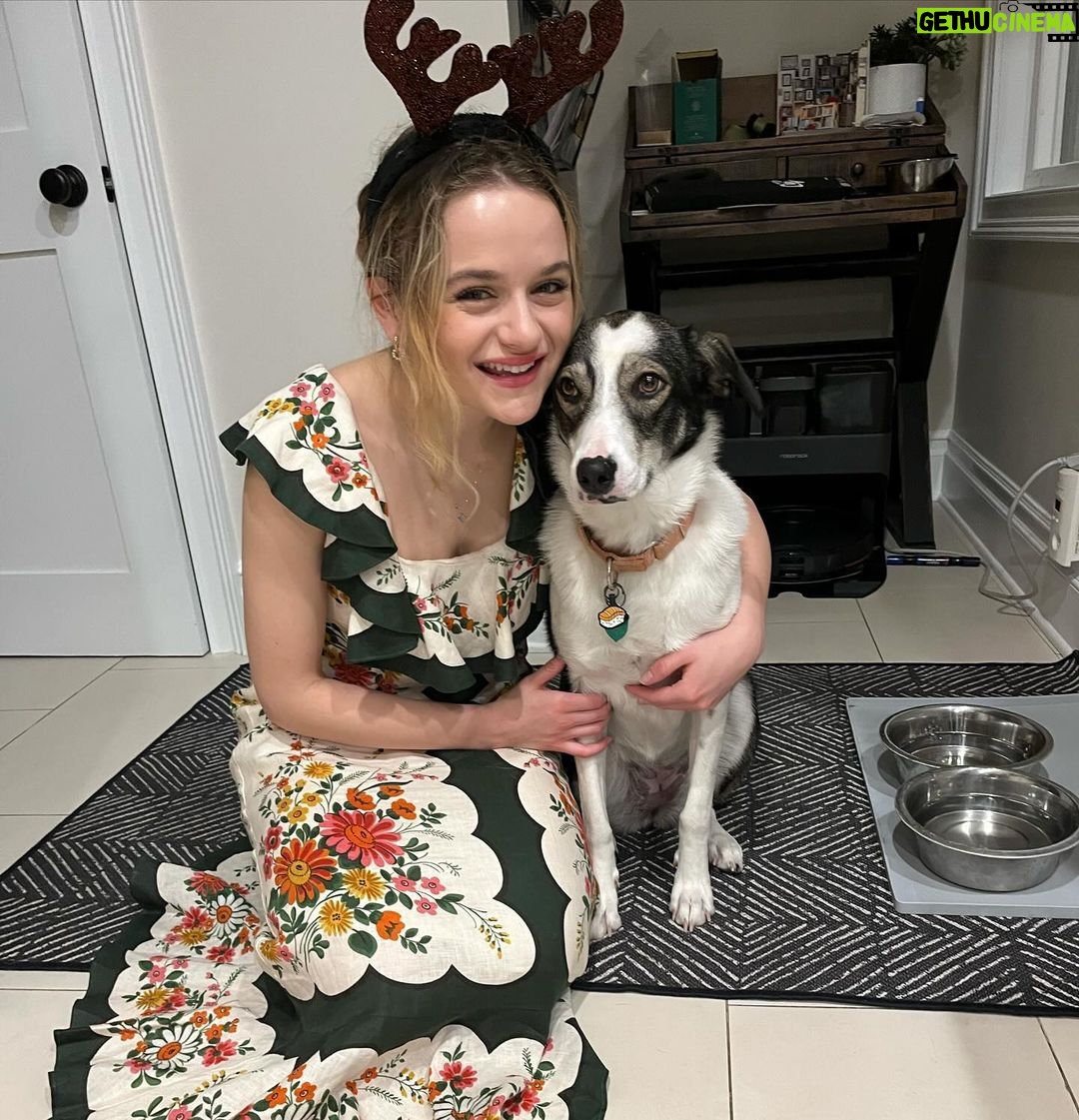 Joey King Instagram - Merry Christmas from Fable!!! Little Fable update for ya!! She is mine and Steven’s absolute best bud in the world … she is still afraid of most other people though, but she is getting better everyday and is the sweetest little lady. We are so happy to spend her first real Christmas with her and spoil her endlessly. She makes our lives so entertaining…we couldn’t be more thankful that she’s as weird as she is 🤡 Merry Christmas to everyone!!!! All shelter pets deserve a warm, safe and loving home for the holidays🫶🫶