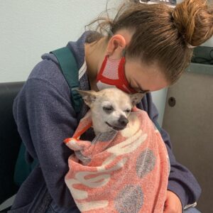 Joey King Instagram - I had to say goodbye to my little man today. Charlie was my goofy sidekick for 15 and a half years and I’m so thankful for it. I love you Charlie forever and ever. I’ll miss you and your warm cuddles always.
