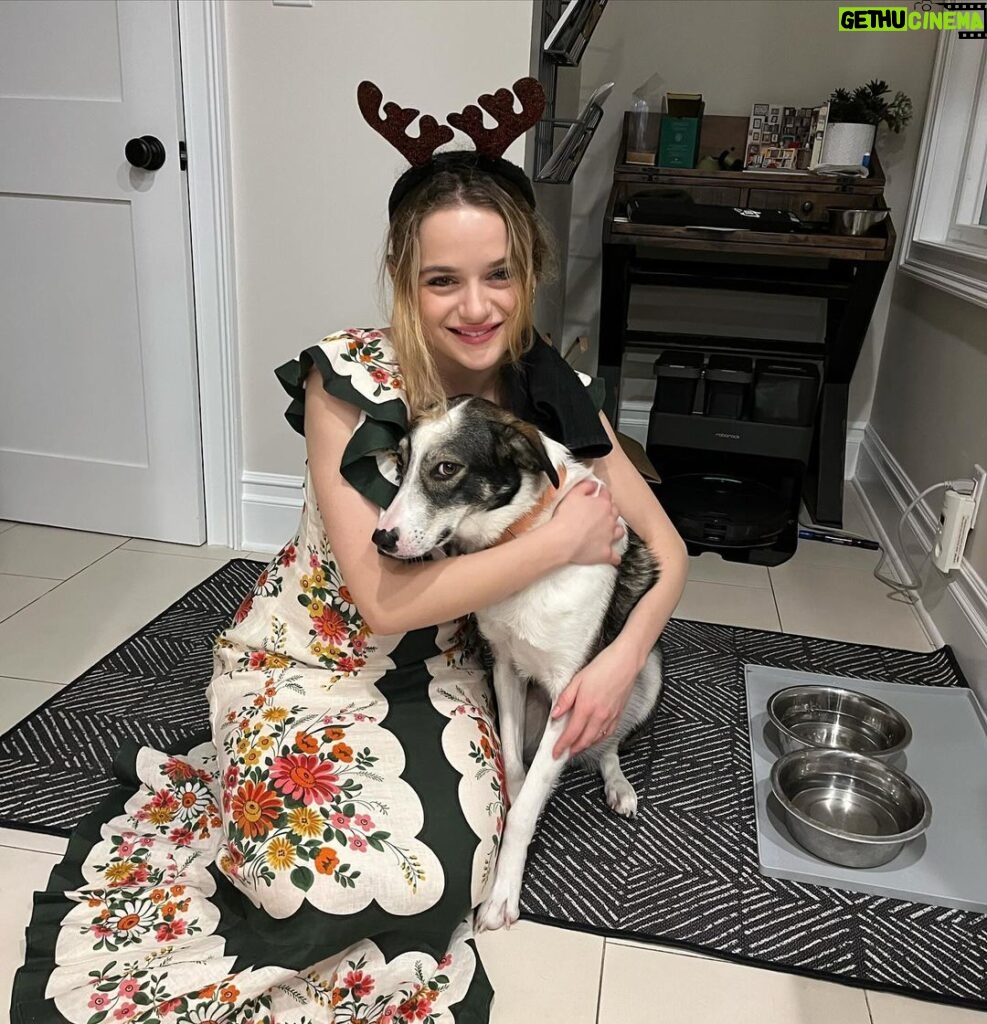 Joey King Instagram - Merry Christmas from Fable!!! Little Fable update for ya!! She is mine and Steven’s absolute best bud in the world … she is still afraid of most other people though, but she is getting better everyday and is the sweetest little lady. We are so happy to spend her first real Christmas with her and spoil her endlessly. She makes our lives so entertaining…we couldn’t be more thankful that she’s as weird as she is 🤡 Merry Christmas to everyone!!!! All shelter pets deserve a warm, safe and loving home for the holidays🫶🫶