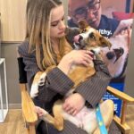 Joey King Instagram - Meet Ember, one of the millions of deserving shelter pets who need our help. @Hillspet Nutrition is on a mission to help end pet homelessness and even if you aren’t ready to adopt yet, there are so many other ways to help shelter pets in need! Link in bio!! #HillsPartner #Ad