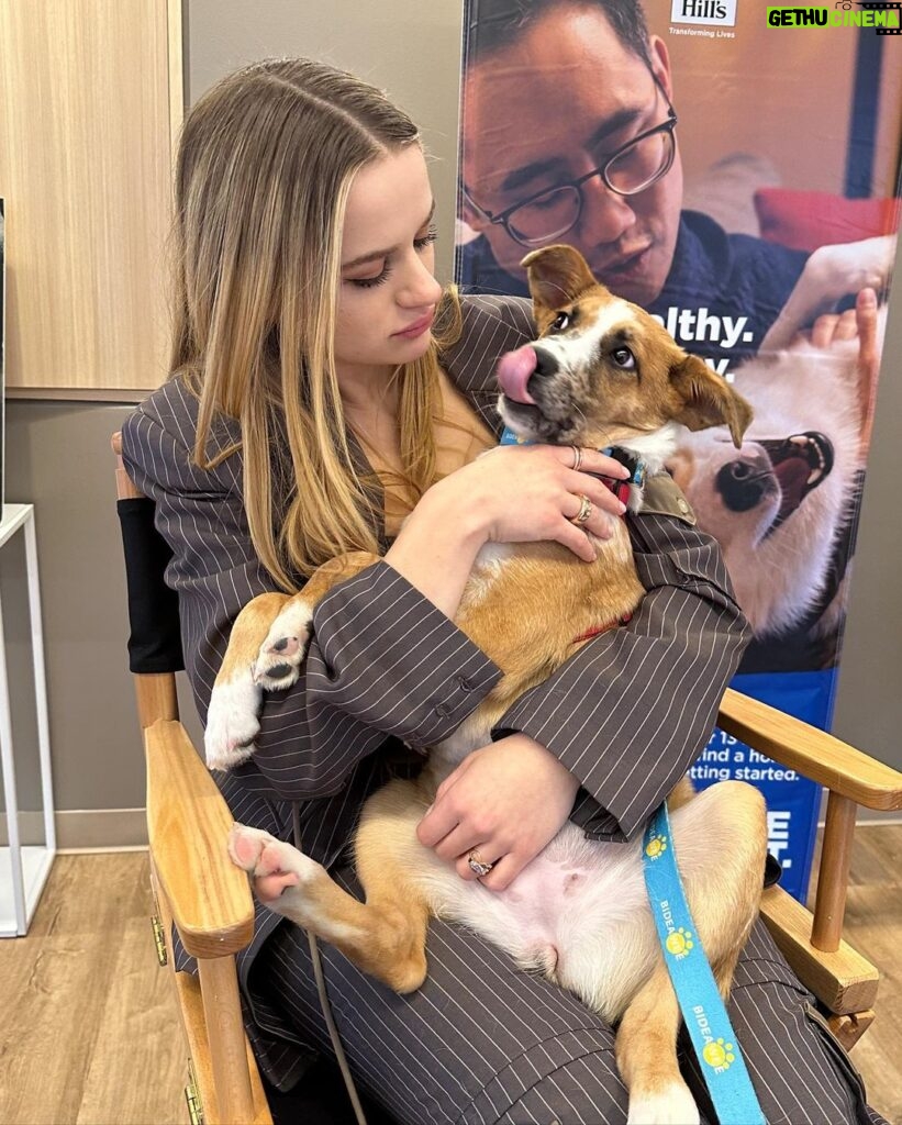 Joey King Instagram - Meet Ember, one of the millions of deserving shelter pets who need our help. @Hillspet Nutrition is on a mission to help end pet homelessness and even if you aren’t ready to adopt yet, there are so many other ways to help shelter pets in need! Link in bio!! #HillsPartner #Ad