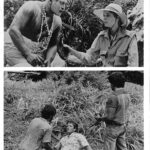John Amos Instagram - DANCE OF THE DWARFS/JUNGLE HEAT (1983) #myhistory #blackhistorymonth