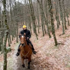 John Bell Instagram - Me on my way to make @outlander_starz season 6 🐎 @centrohipico_losciruelos
