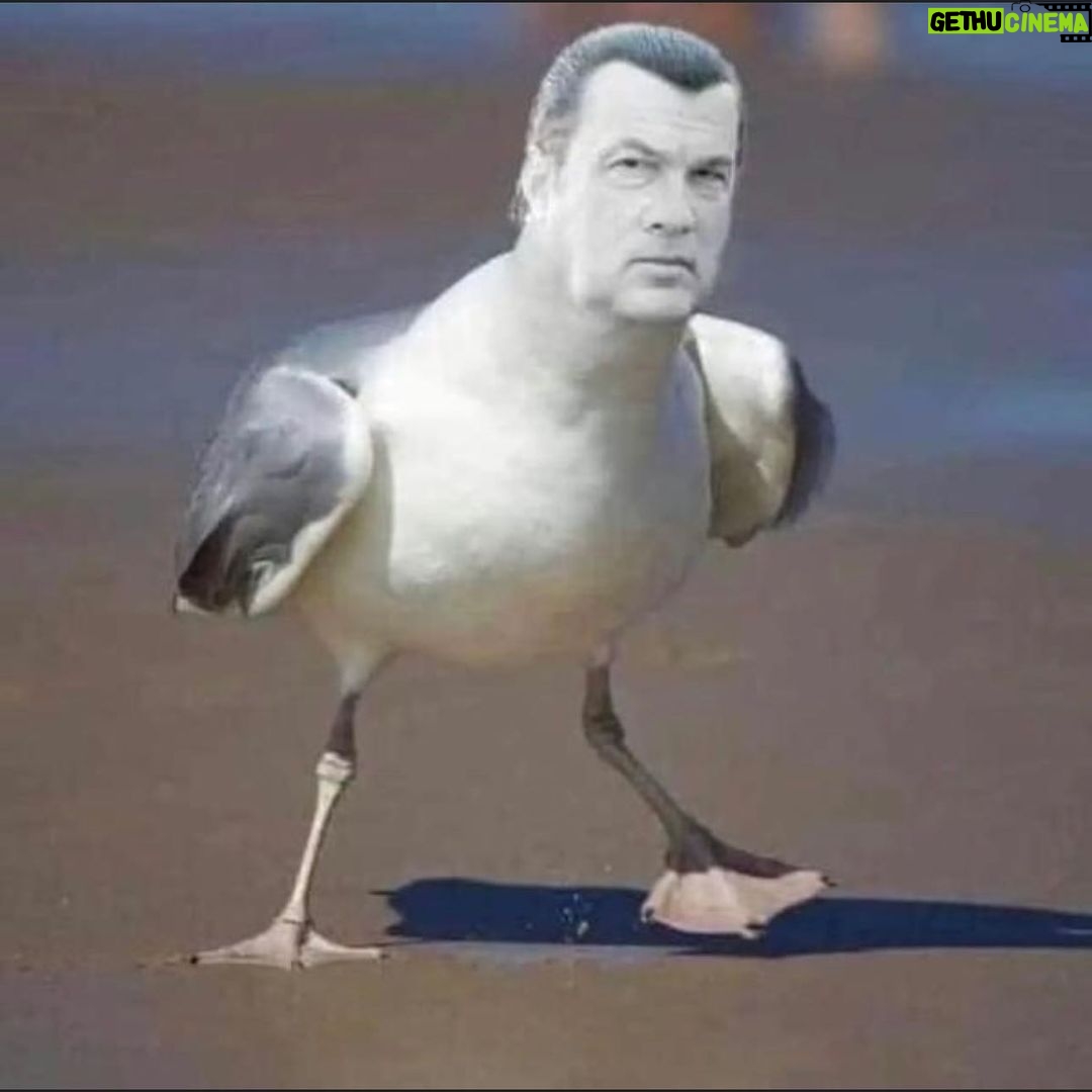 John Cena - 209K Likes -