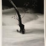 John Cho Instagram - This photograph is by Kenro Izu. In 1993, while photographing the Angkor Wat monuments in Cambodia, he witnessed a child die because her father could not afford the $2 for her medical care. He founded @friendswithoutaborder three years later, whose mission it is to provide compassionate, free medical care to children in Southeast Asia. They save lives and they do it efficiently - I cannot emphasize enough how far your dollar goes. I encourage you to consider them in your year end giving. Addtionally, they are having a photography auction (live and silent) - you can find the details at fwab.org. Thanks for reading!