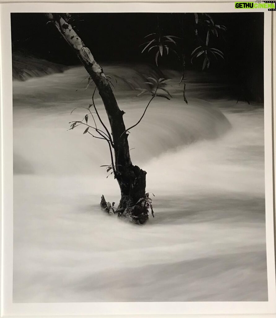 John Cho Instagram - This photograph is by Kenro Izu. In 1993, while photographing the Angkor Wat monuments in Cambodia, he witnessed a child die because her father could not afford the $2 for her medical care. He founded @friendswithoutaborder three years later, whose mission it is to provide compassionate, free medical care to children in Southeast Asia. They save lives and they do it efficiently - I cannot emphasize enough how far your dollar goes. I encourage you to consider them in your year end giving. Addtionally, they are having a photography auction (live and silent) - you can find the details at fwab.org. Thanks for reading!