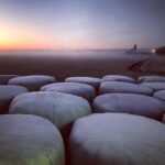 John Cho Instagram -