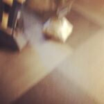 John Cho Instagram - Got mouthy.