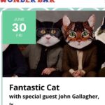 John Gallagher Jr. Instagram - Speaking of the shore! I’m heading down to Jersey next week to kick things off for my pals in the super-duper supergroup @fantasticcatband with a solo acoustic set at @thewonderbarofficial. I don’t have any pets but you best believe I’m getting there early for a Rum Bucket and to live vicariously through all the dog owners at Yappy Hour. Ticket link in bio!