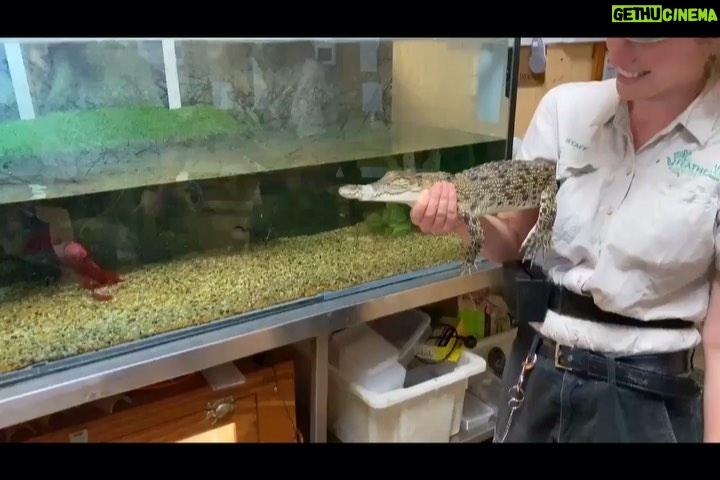 John Travolta Instagram - At the @featherdalewildlifepark with the kids