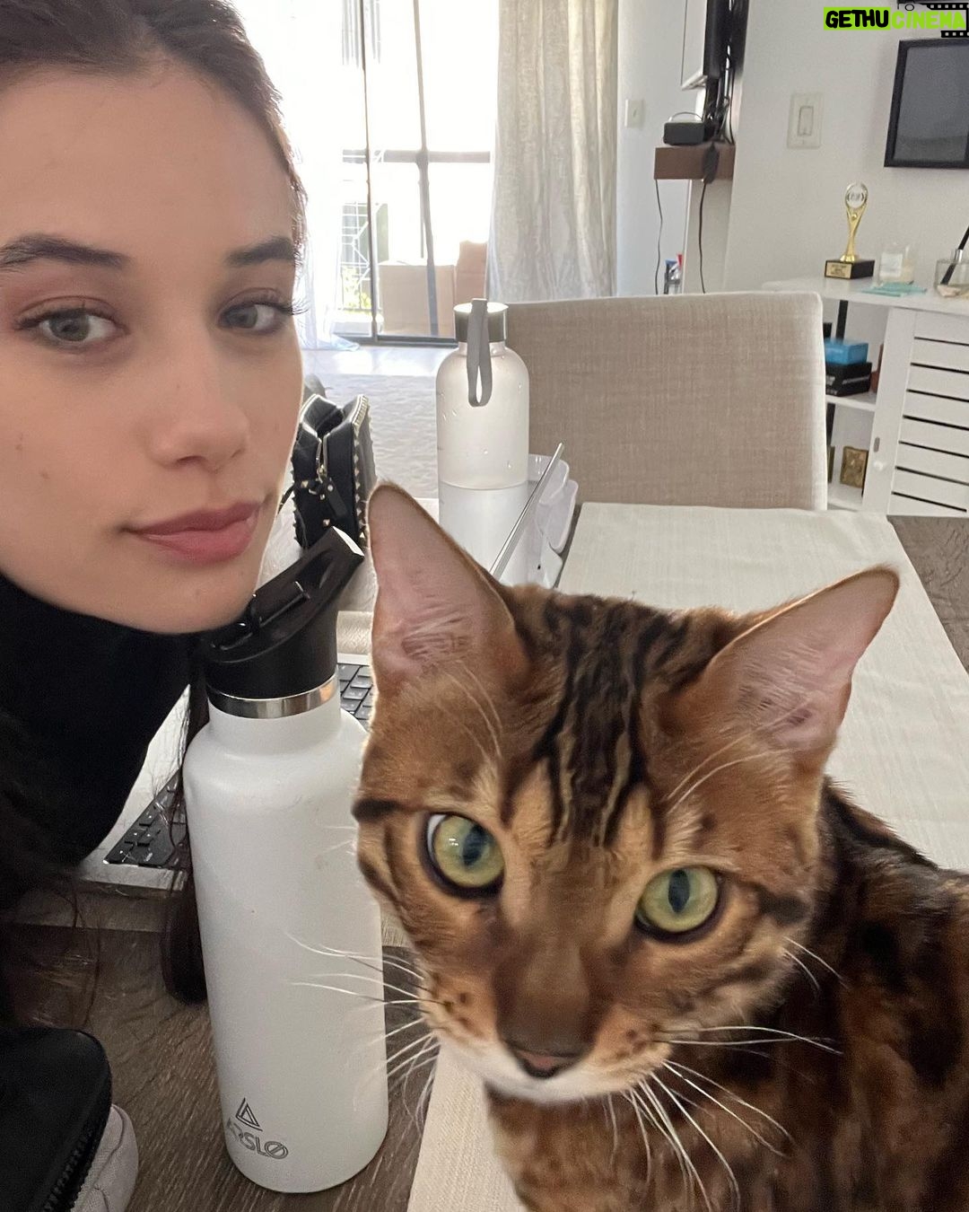 John Travolta Instagram - Once in a while you have to post something of beauty. (and the cats not bad either)