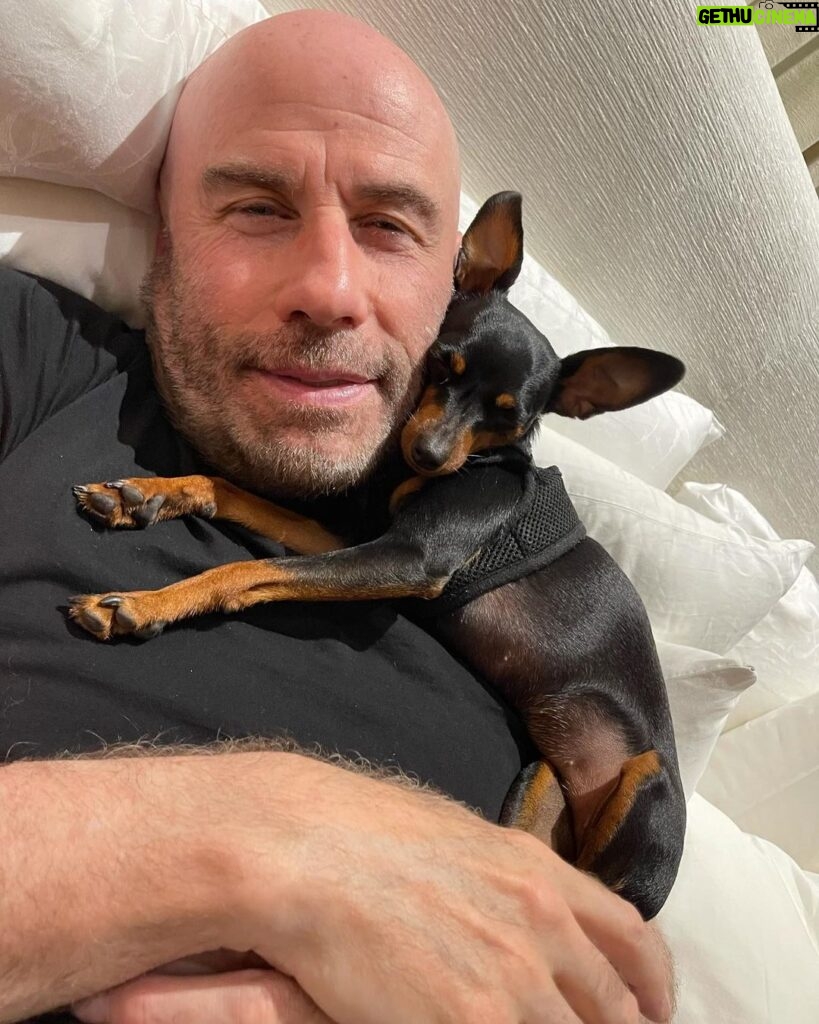 John Travolta Instagram - Some dogs are just so lovely. 🐾