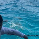Johnny Eblen Instagram - Trainin, travelin, & shootin son of a gun Last vid is epic 🤣 Bimini Island, Bahamas