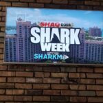 Johny Hendricks Instagram - @sharkweek starts in 15 minutes cant wait.